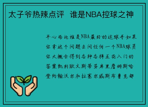 太子爷热辣点评  谁是NBA控球之神